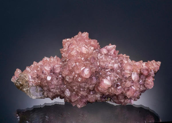 CC37500 specimen image