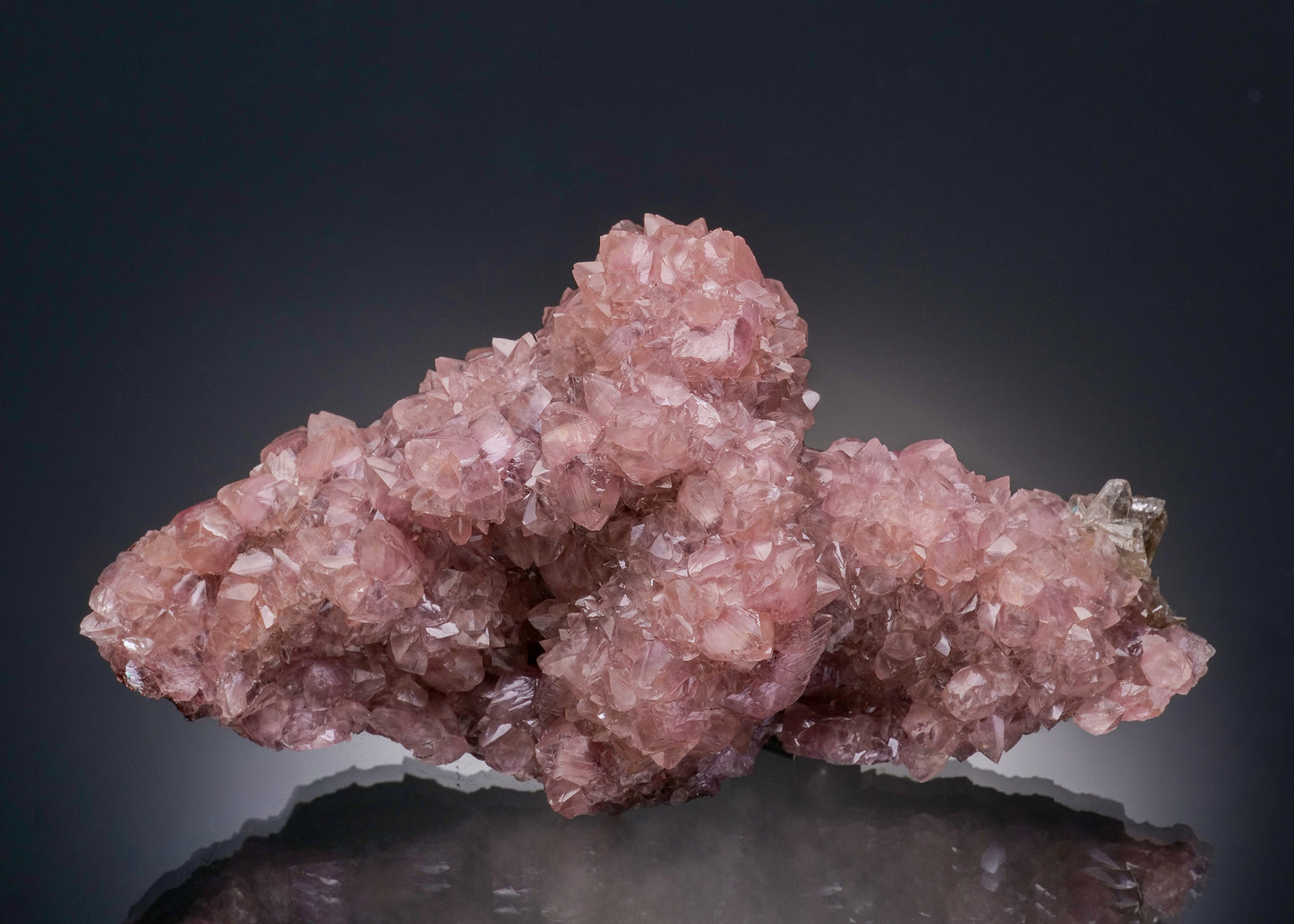 Cobaltoan SMITHSONITE with CERUSSITE
