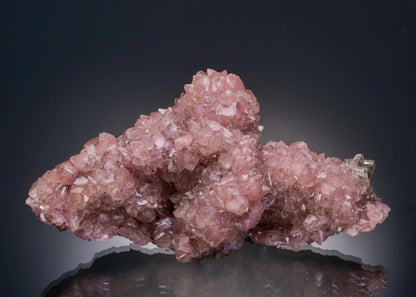Cobaltoan SMITHSONITE with CERUSSITE