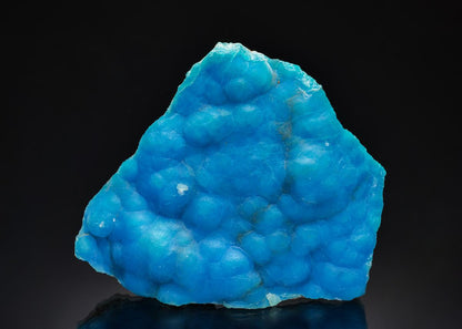 CC37620 specimen image