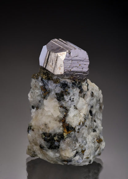CC37623 specimen image