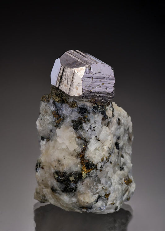 CC37623 specimen image