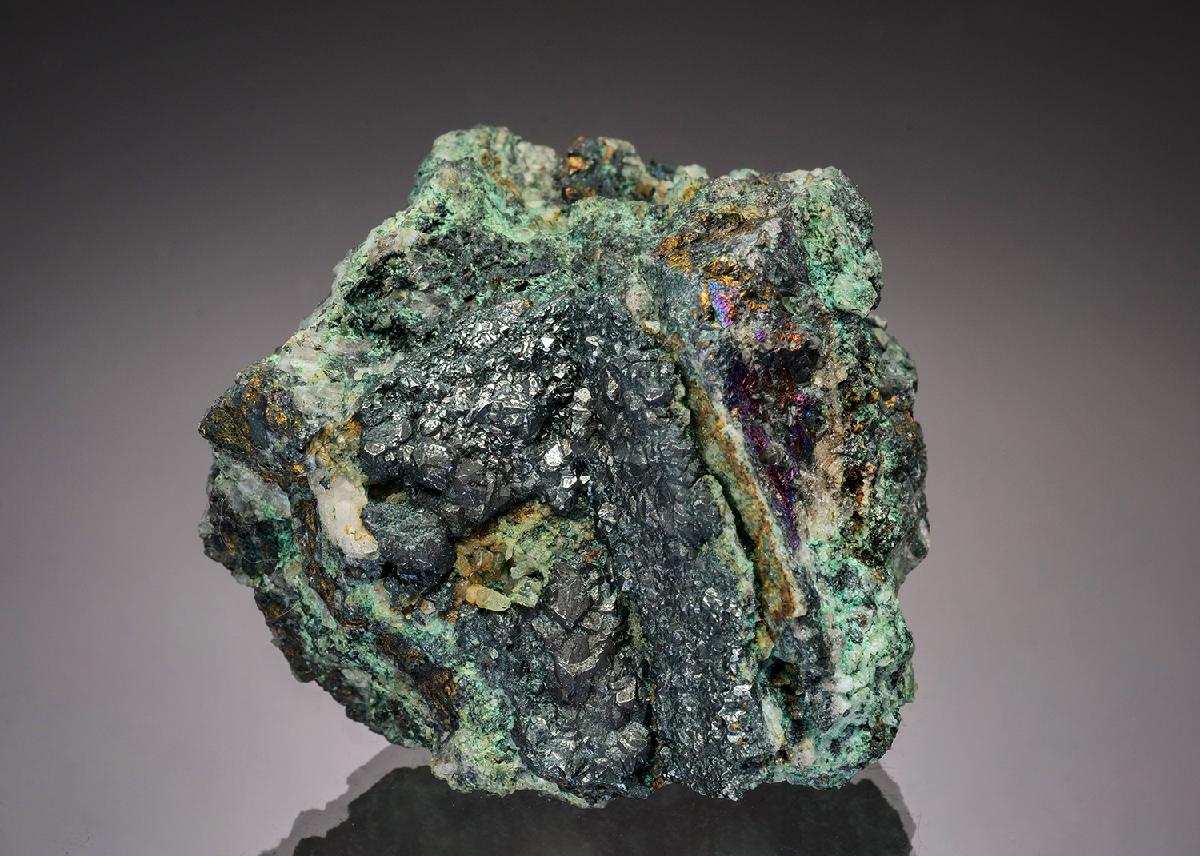 CC37641 specimen image
