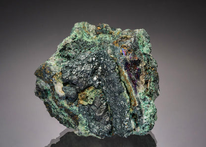 CC37641 specimen image