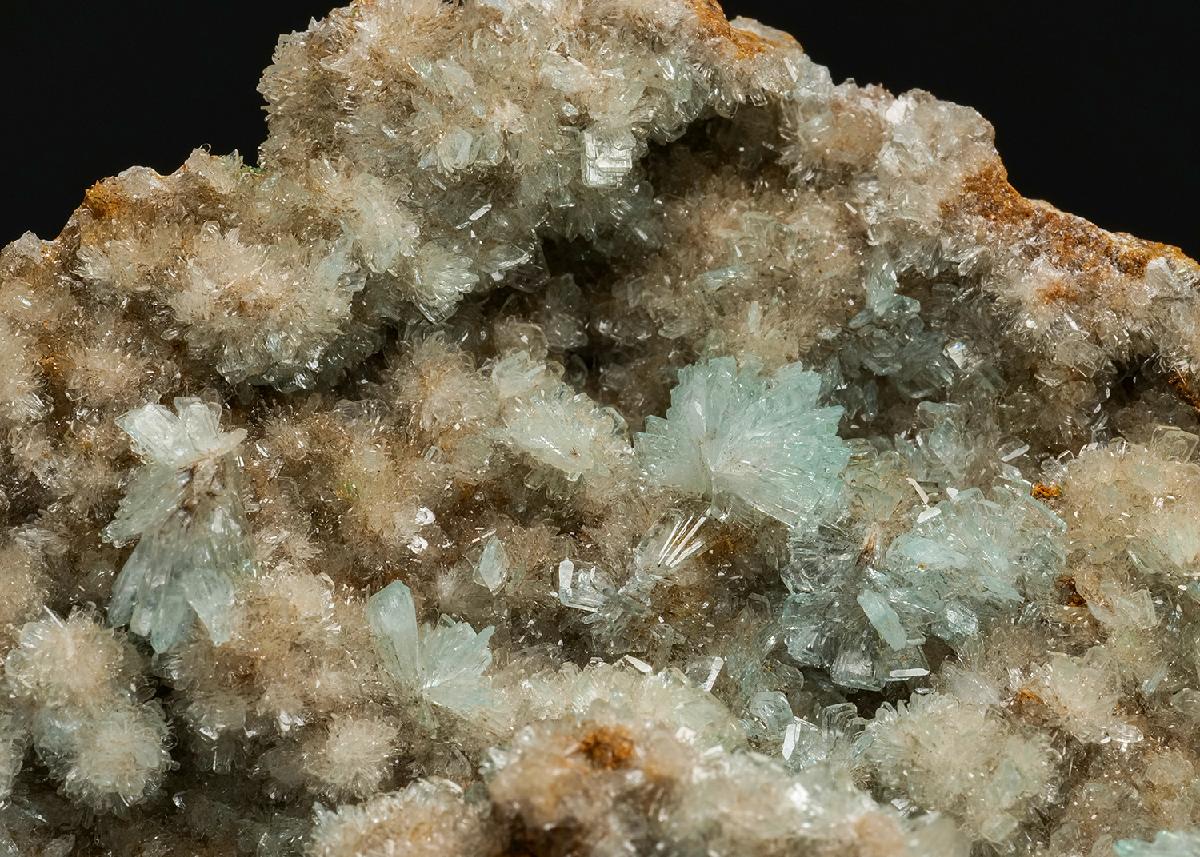 CC37671 specimen image