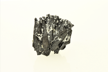 CC3769 specimen image