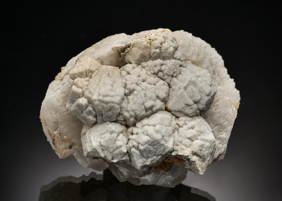CC37737 specimen image