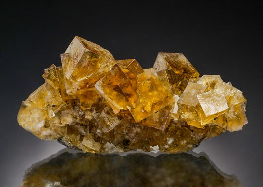 CC37770 specimen image