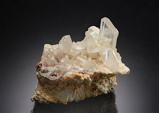 CC3785 specimen image
