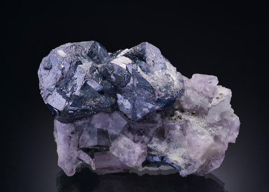 CC3787 specimen image