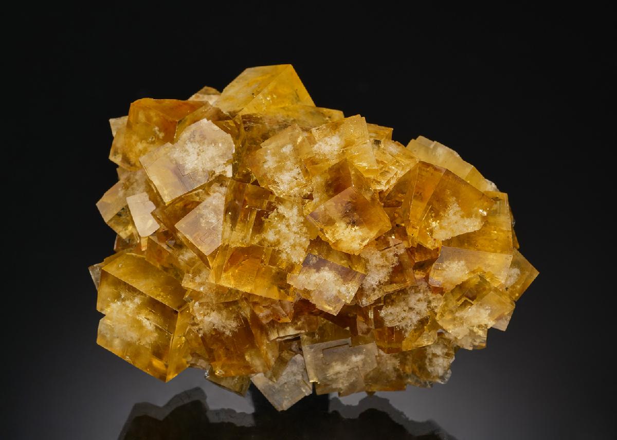 CC37902 specimen image