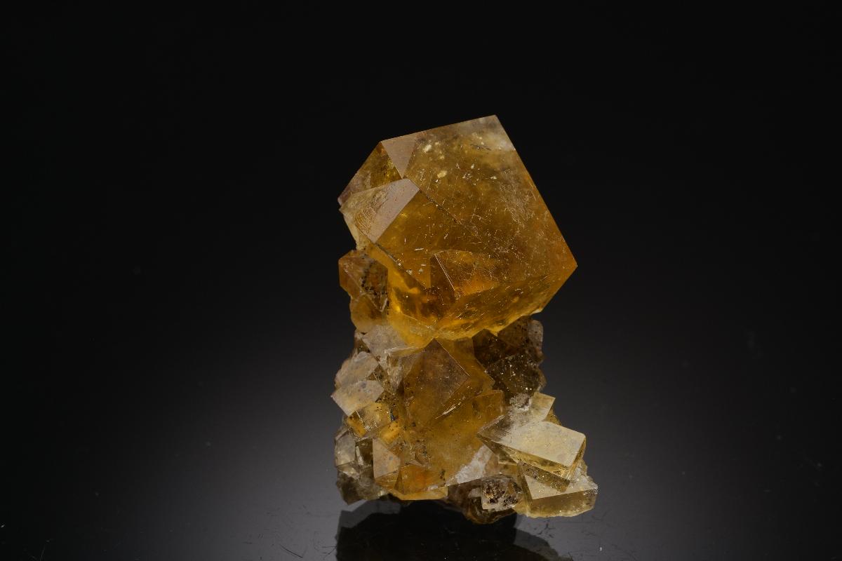 CC37917 specimen image