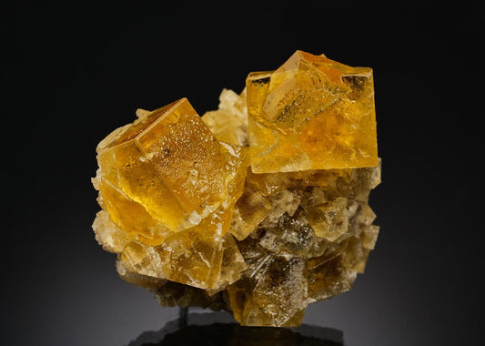 CC37923 specimen image