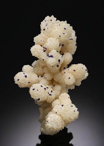 CC3803 specimen image