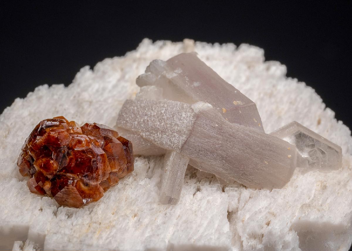 CC38208 specimen image