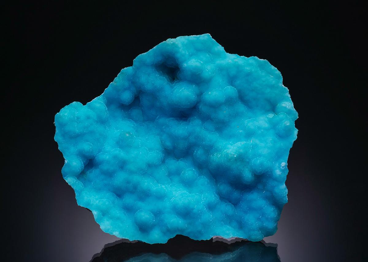 CC38214 specimen image