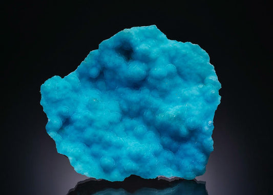 CC38214 specimen image