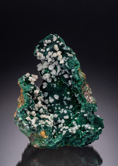 CC38217 specimen image