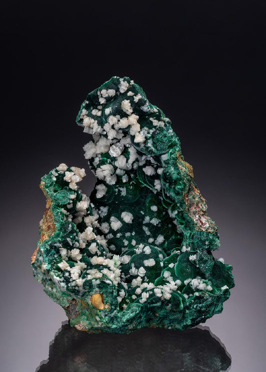 CC38217 specimen image