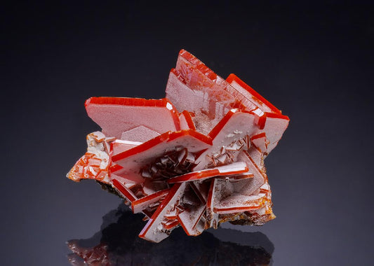 CC38249 specimen image