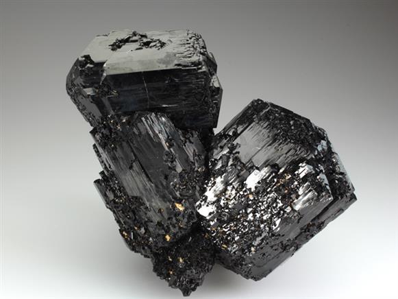 CC3835 specimen image