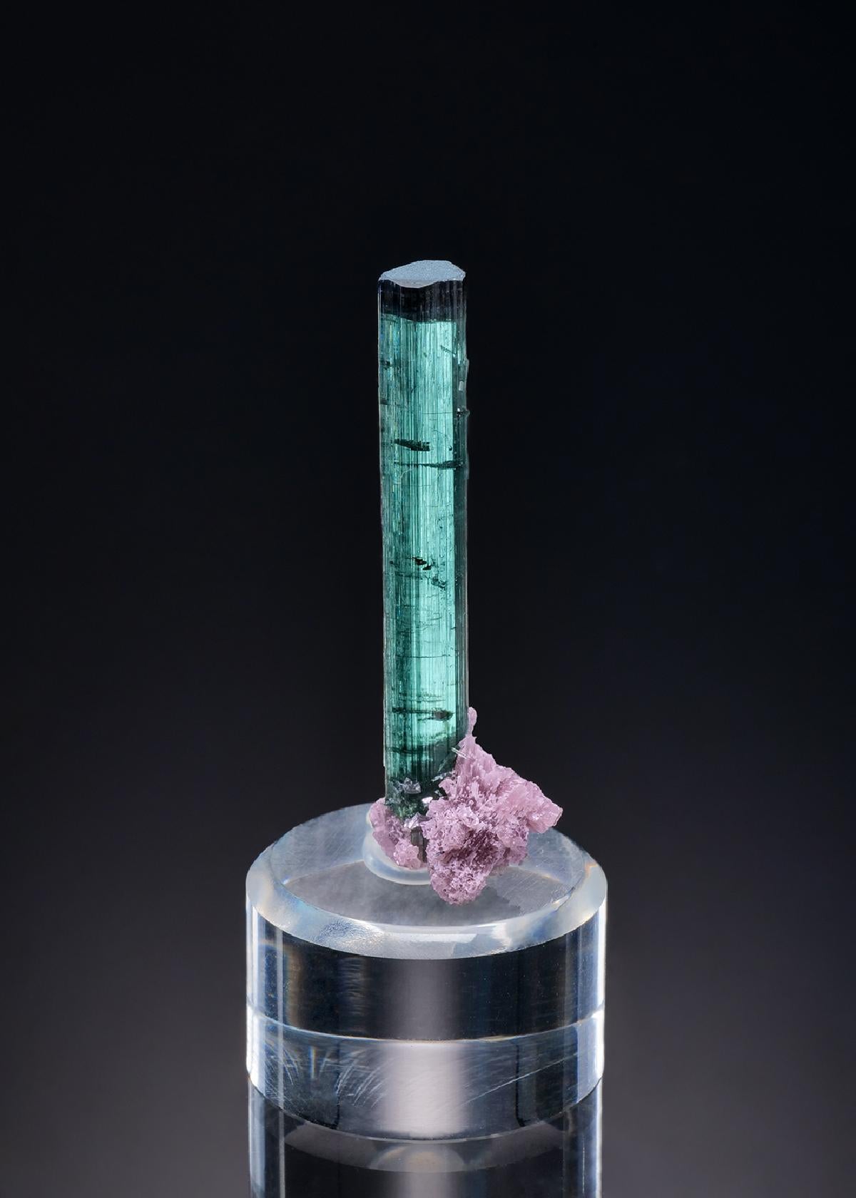 CC38381 specimen image