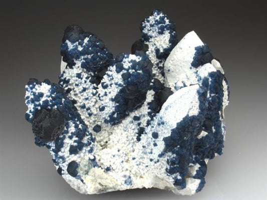 CC3871 specimen image