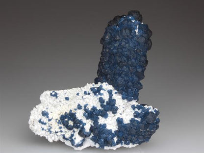 CC3872 specimen image