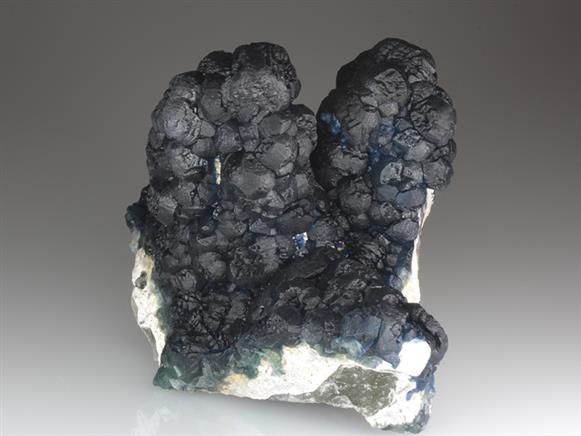 CC3873 specimen image