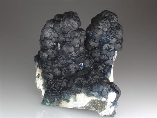 CC3873 specimen image
