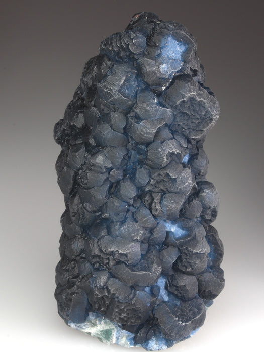 CC3875 specimen image