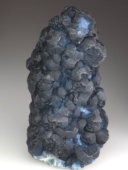 CC3875 specimen image