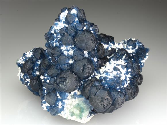 CC3876 specimen image