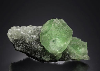 CC3896 specimen image