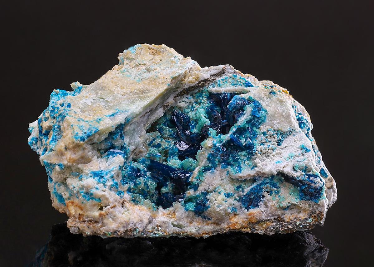 CC39026 specimen image