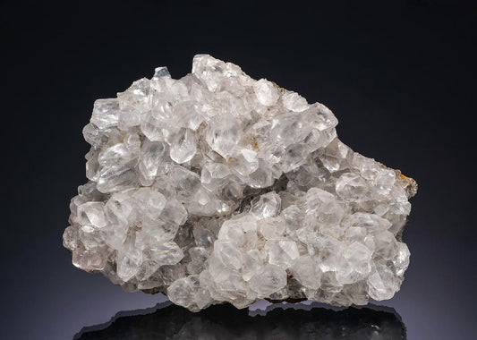 CC391 specimen image