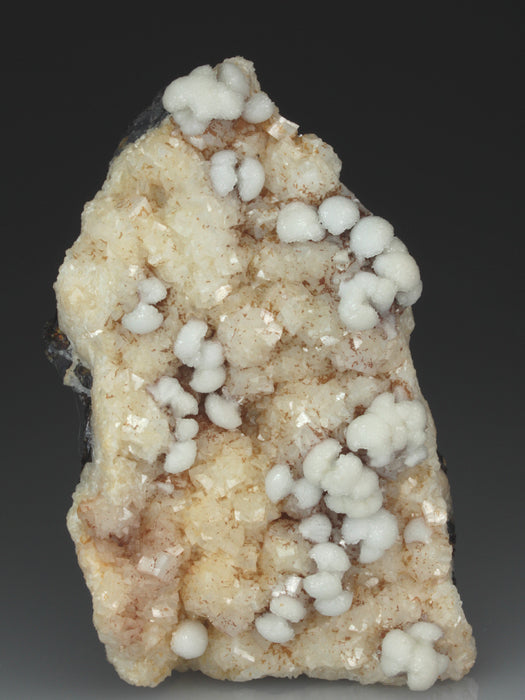 CC3922 specimen image