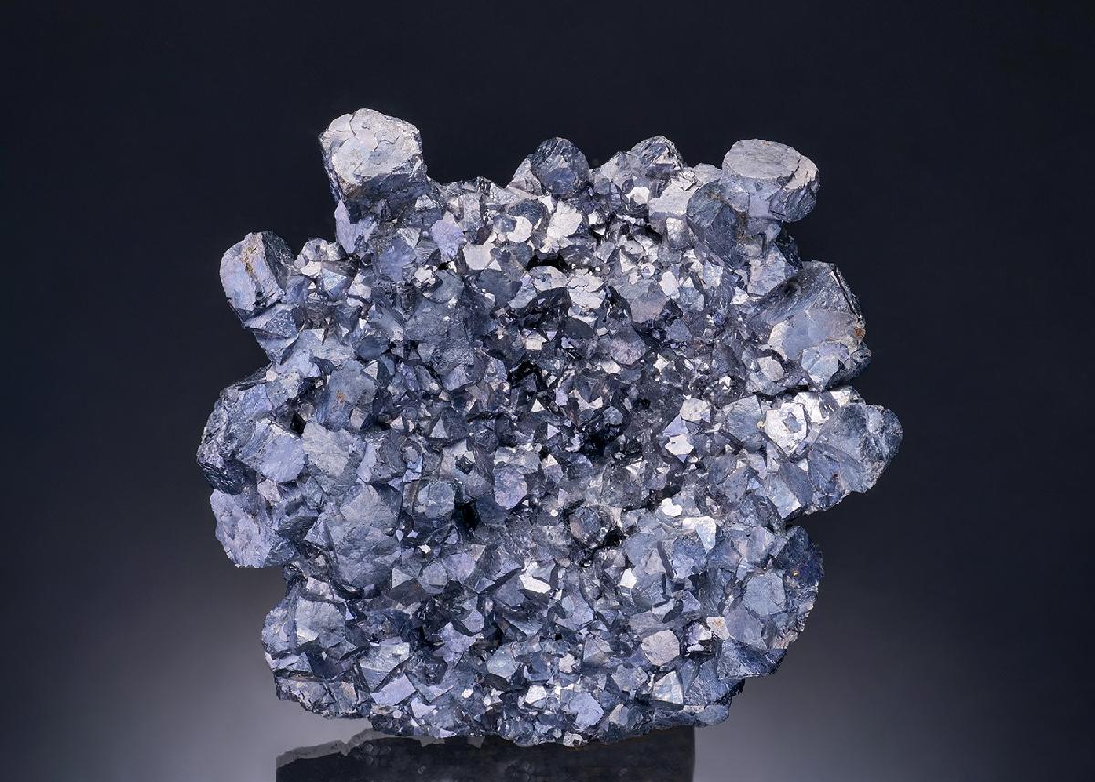 CC3925 specimen image