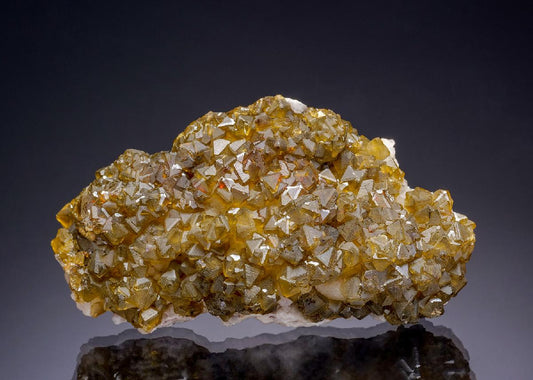 CC3928 specimen image