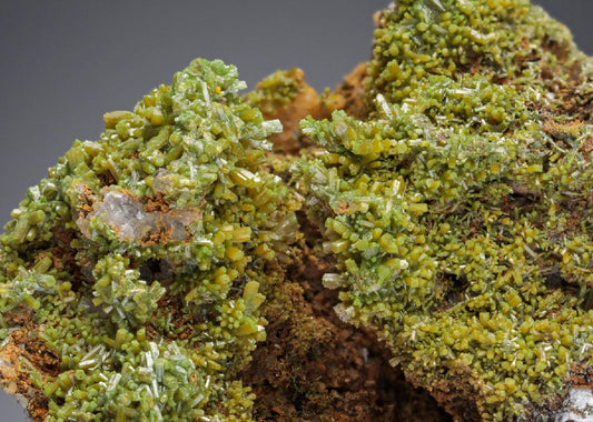 CC3929 specimen image