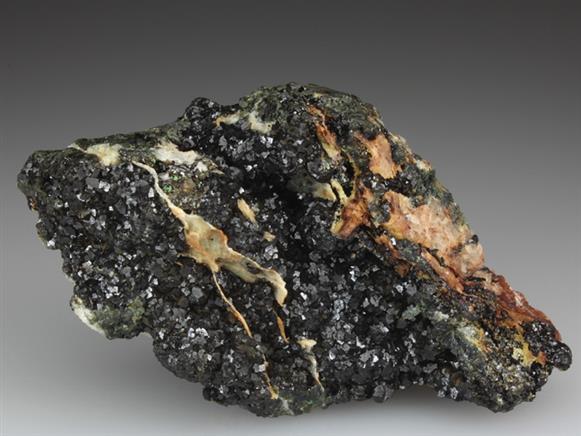 CC3943 specimen image