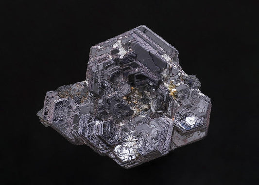CC39603 specimen image