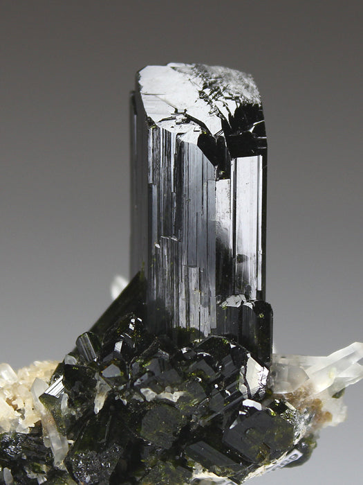 CC3977 specimen image