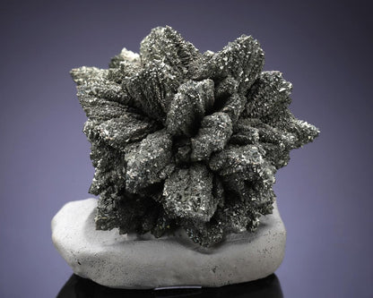 CC3981 specimen image