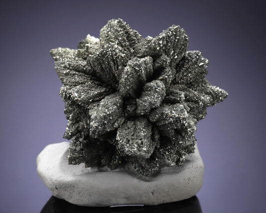CC3981 specimen image