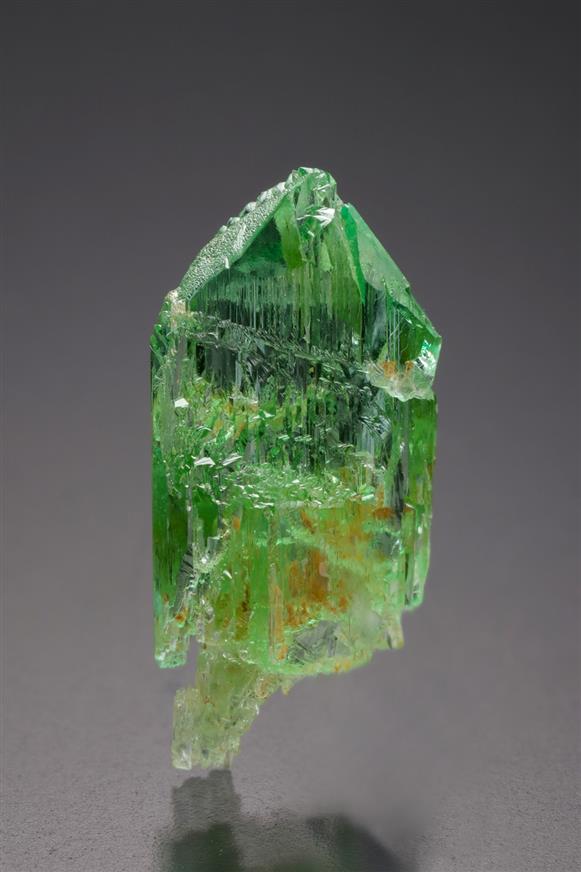 CC3991 specimen image