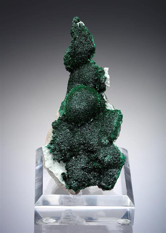 CC4007 specimen image