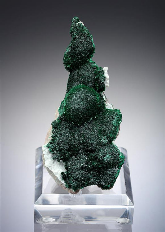 CC4007 specimen image