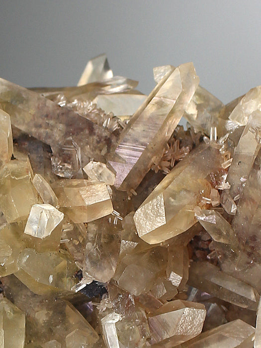 CC4009 specimen image
