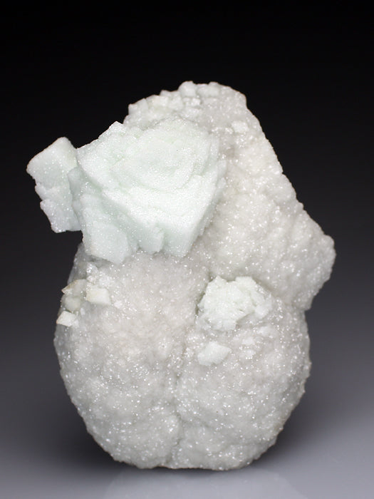 CC4010 specimen image